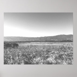 Black and White Sunny Fält Santa Barbara Cali Poster
