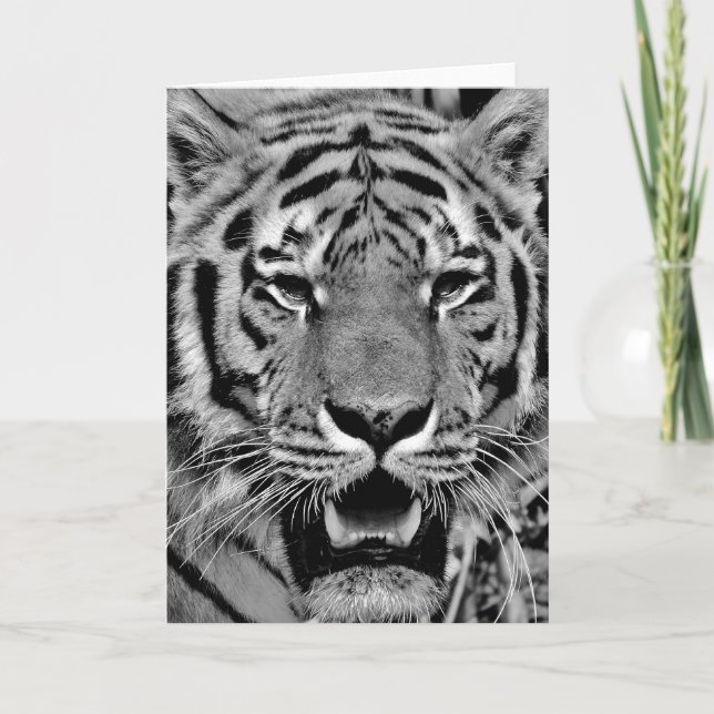 Black and White Tiger Face Kort (Framsida)