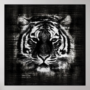 Black and White Tiger Vintage affisch
