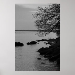 Black and White Träd Over Bay #5845 Poster