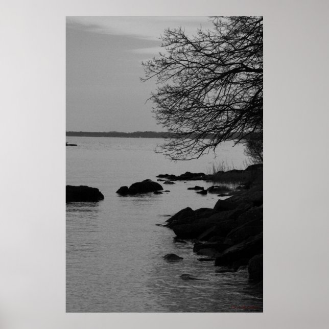 Black and White Träd Over Bay #5845 Poster (Framsidan)