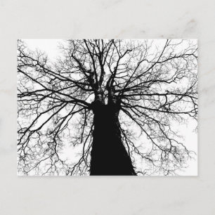 Black and White Träd Silhouette - vykort