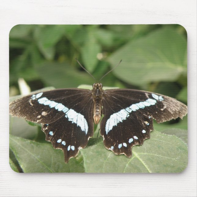 Black and White Tropical Butterfly Mousepad Musmatta (Framsidan)