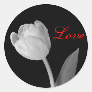 Black and White Tulip, Kärlek Runt Klistermärke