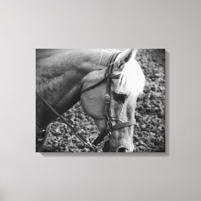 Black and White Western Palomino Horse Canvas Prin (Framsida)