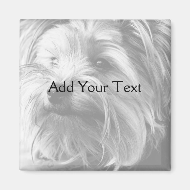Black and White Yorkshire Terrier Yorkie Magnet (Framsidan)