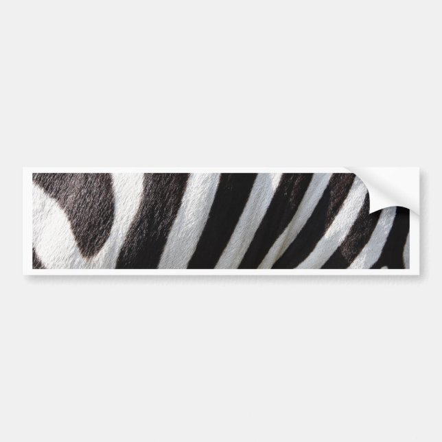 Black and White Zebra Hair Rand Bildekal (Framsidan)
