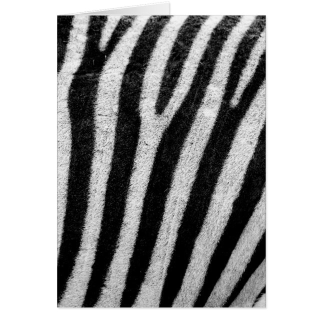 Black and White Zebra Hair Rand Hälsningskort (Framsidan)