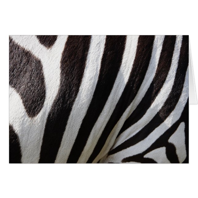 Black and White Zebra Hair Rand Hälsningskort (Framsidan Horizontal)