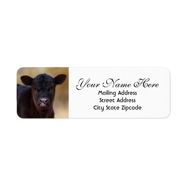 Black Angus Calf-Returadress Returadress Etikett (Framsidan)
