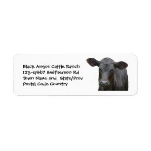 Black Angus Cattle Farm eller Ranch Sticker Returadress Etikett