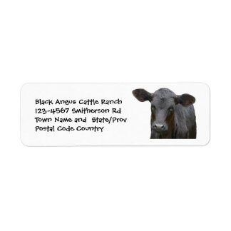 Black Angus Cattle Farm eller Ranch Sticker Returadress Etikett