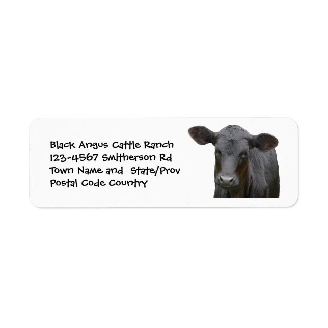 Black Angus Cattle Farm eller Ranch Sticker Returadress Etikett (Framsidan)