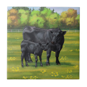 Black Angus Cow & Cute Calf på sommarbetesmark Kakelplatta