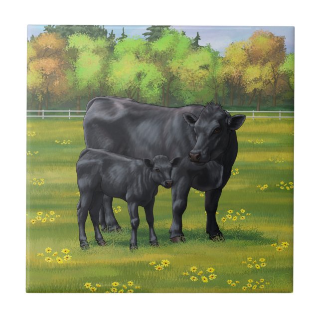 Black Angus Cow & Cute Calf på sommarbetesmark Kakelplatta (Framsidan)