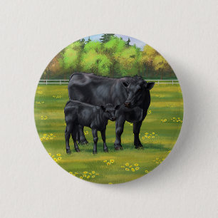 Black Angus Cow & Cute Calf på sommarbetesmark Knapp