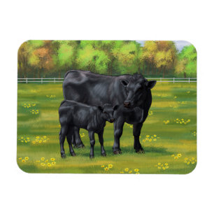Black Angus Cow & Cute Calf på sommarbetesmark Magnet