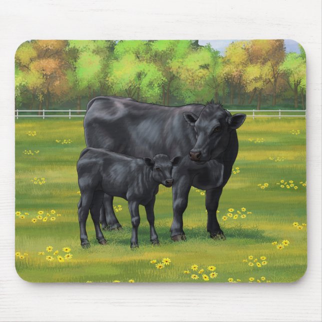 Black Angus Cow & Cute Calf på sommarbetesmark Musmatta (Framsidan)