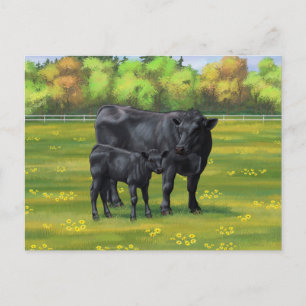 Black Angus Cow & Cute Calf på sommarbetesmark Vykort