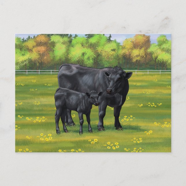 Black Angus Cow & Cute Calf på sommarbetesmark Vykort (Framsida)