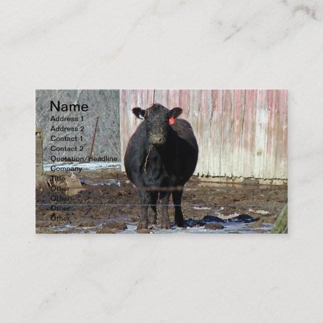 Black Angus Cow i Winter Visitkort (Framsida)