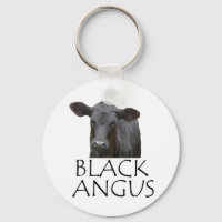 Black Angus Cow