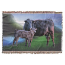 Black Angus Cow och Calf