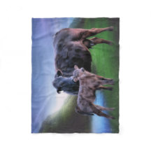 Black Angus Cow och Calf