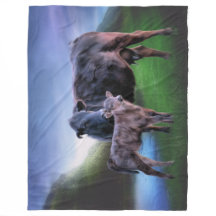 Black Angus Cow och Calf