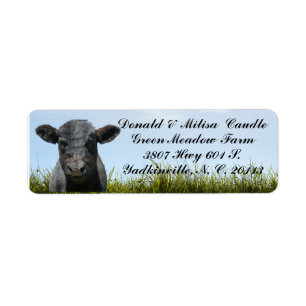 BLACK ANGUS-ETIKETT RETURADRESS ETIKETT