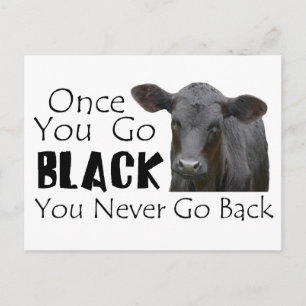 Black Angus Funny Cow Photo Vykort