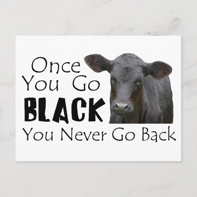 Black Angus Funny Cow Photo Vykort (Framsida)