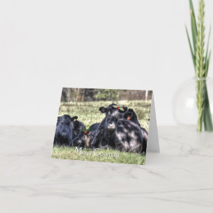 Black Angus Holly Merry Cowmas Hälsning Helgkort