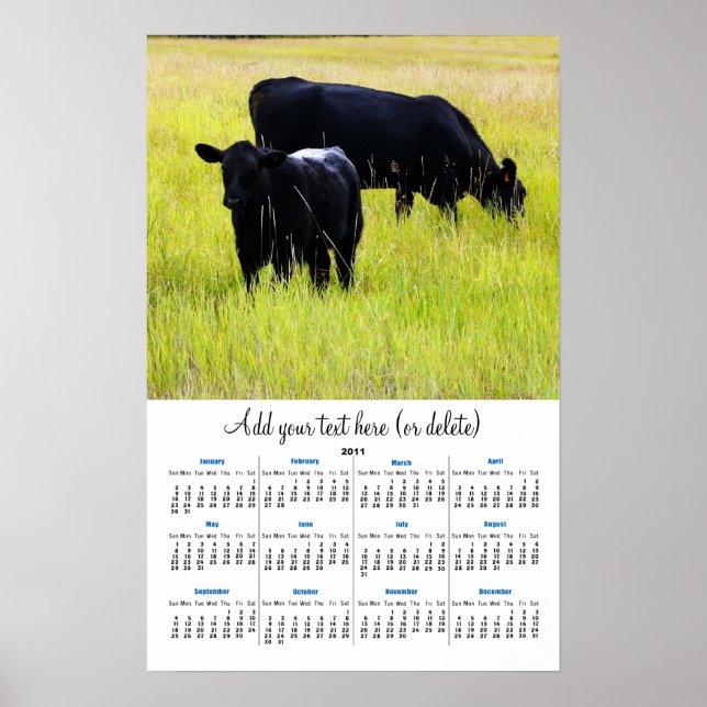 Black Angus i Gult Grass 2011-väggkalender Poster (Framsidan)