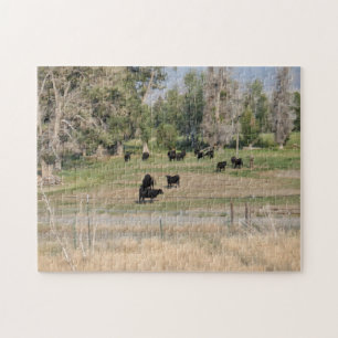 Black Angus i pastorn Pussel