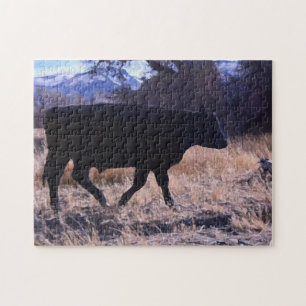 Black Angus Steer Pussel