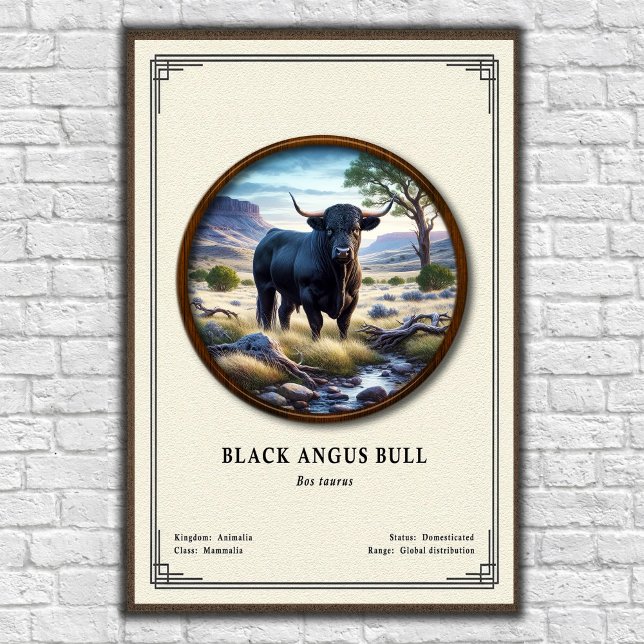 Black Angus-tjur Zoologisk Serie Poster (Skapare uppladdad)