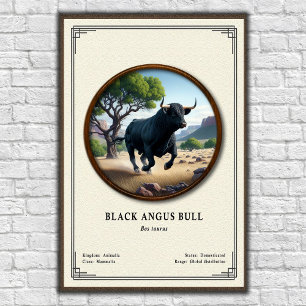 Black Angus-tjur Zoologisk Serie Poster
