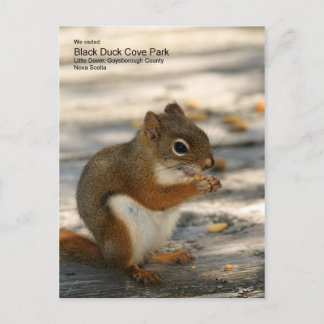 Black Anka Cove Park Vykort