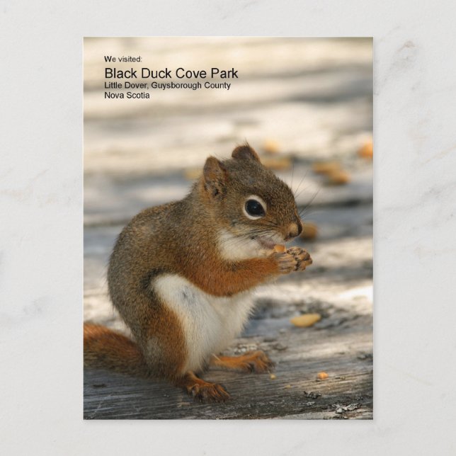 Black Anka Cove Park Vykort (Framsida)