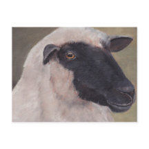 Black Ansikte Sheep Art-vykort