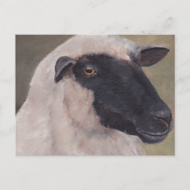 Black Ansikte Sheep Art-vykort Vykort