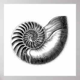 Black Antique Nautilus Scientific Illustration Poster