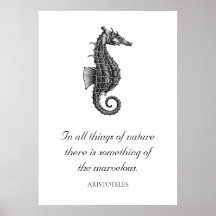 Black Antique Seahorse med inspirationsoffert.