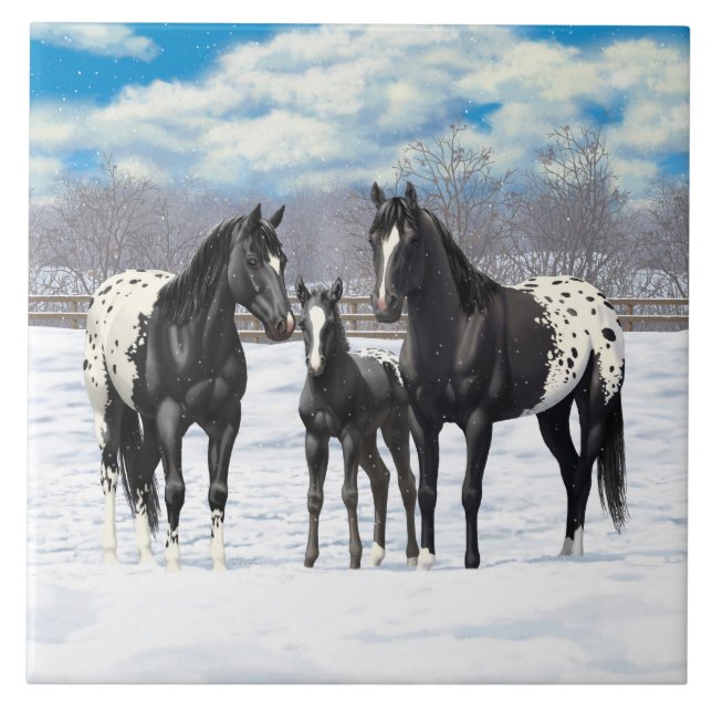 Black Appaloosa-hästar i Snö Kakelplatta (Framsidan)