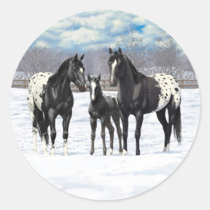 Black Appaloosa-hästar i Snö Runt Klistermärke