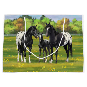 Black Appaloosa-hästar på sommarbetesgång