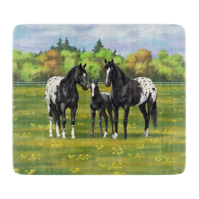 Black Appaloosa-hästar på sommarbetesgång (Framsidan)