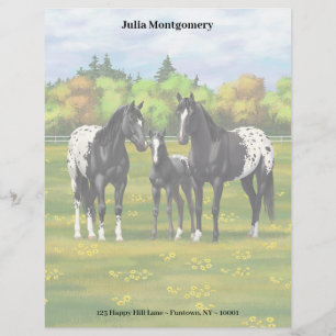 Black Appaloosa-hästar på sommarbetesgång Brevhuvud