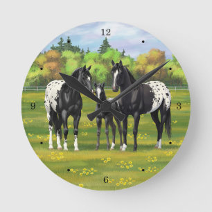 Black Appaloosa-hästar på sommarbetesgång Rund Klocka